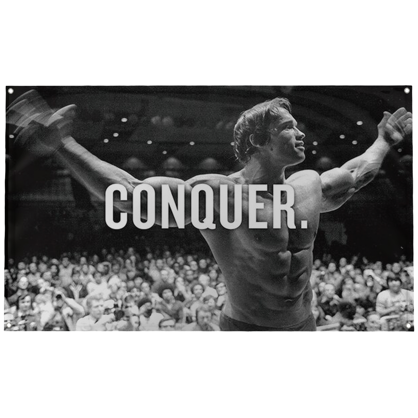 Arnold Conquer Flag